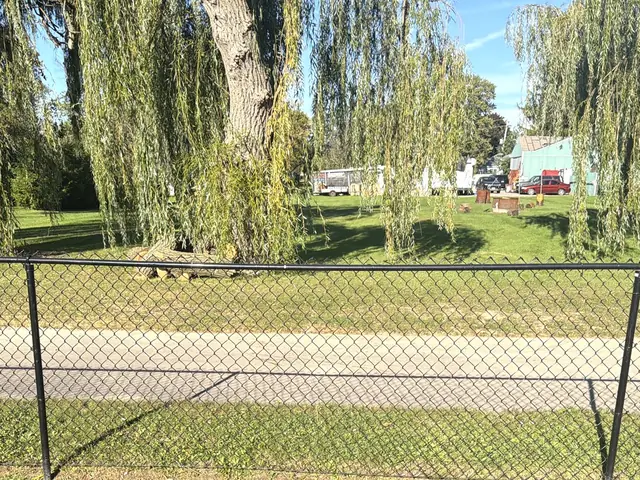 Black vinyl-coated chain link fence with top rail