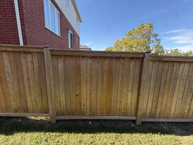 Pressure-treated privacy fence framed top and bottom with a cap board